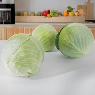 Flexima RZ Cabbage Thumbnail